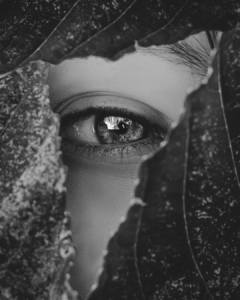 Mehr über den Artikel erfahren Erwache